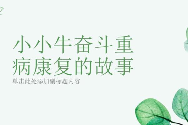男生只有一个蛋的命运启示:从勇气到奋斗 男生只有一个蛋的命运启示:从勇气到奋斗