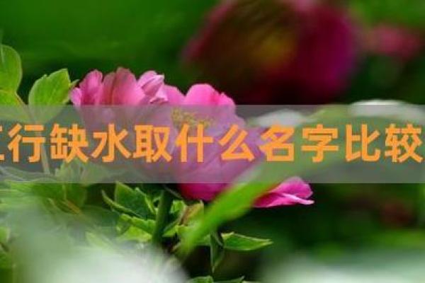 牛土命与水命的不合解析:你了解吗? 牛土命与水命的不合解析:你了解吗?