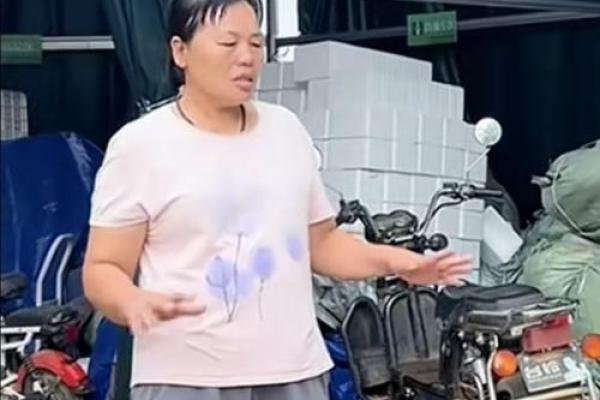 拼了命的回家过年:那一份无法替代的归属感与温情 拼了命的回家过年:那一份无法替代的归属感与温情