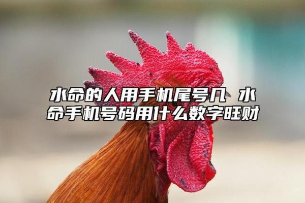 卯木的象征与意义:解读命局中的生命能量与数字关系 卯木的象征与意义:解读命局中的生命能量与数字关系
