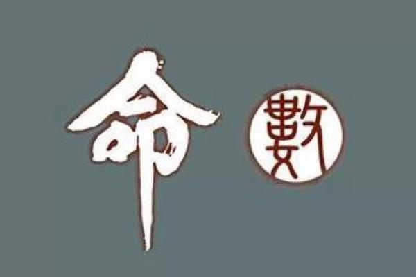 命运的密码:解析那些命不错的人背后的秘密 命运的密码:解析那些命不错的人背后的秘密