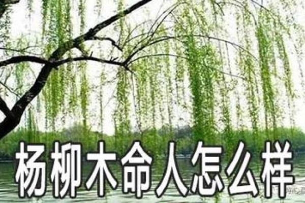 为男杨柳木命选择取名的艺术与智慧 为男杨柳木命选择取名的艺术与智慧