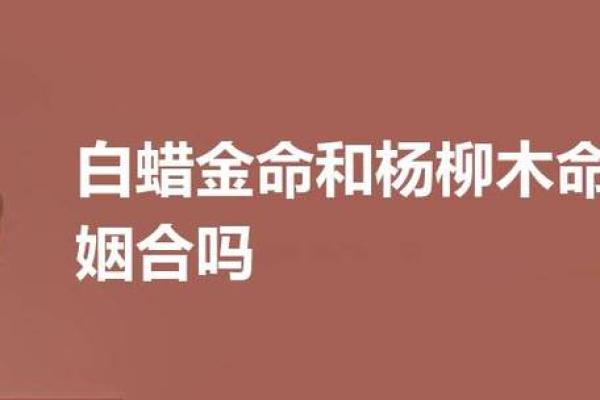 为男杨柳木命选择取名的艺术与智慧 为男杨柳木命选择取名的艺术与智慧