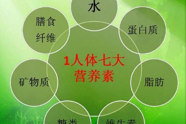 女性命理缺水佩戴什么:水的能量与平衡之道 女性命理缺水佩戴什么:水的能量与平衡之道