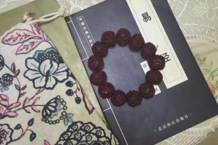 命贵与贵命：探寻生命价值的不同维度