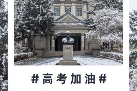 男海中金命：最佳配对与运势解析，助你人生更辉煌！