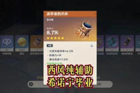 零命雷神配什么圣遗物？解析最佳搭配与玩法！