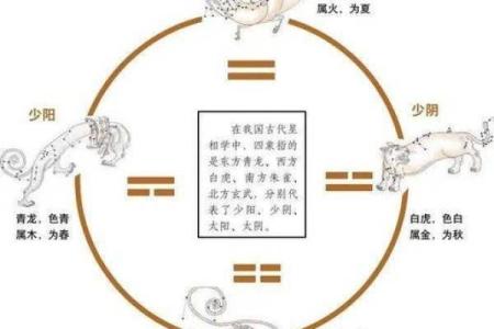 女命姐弟恋八字特征：从命理解析爱情的不同维度