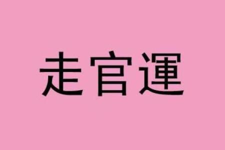 命理中“命”与“坐”的深刻解读：生命的航海图