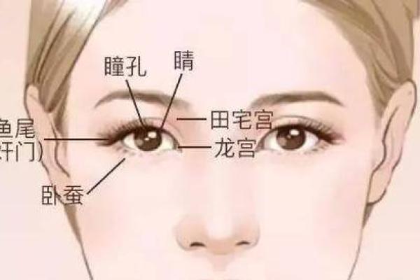 女人鼻子特征与命运解析——你的鼻子暗示了什么? 女人鼻子特征与命运解析——你的鼻子暗示了什么?