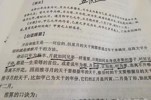 两庚两甲的命:解析八字命理中的神秘力量与人生智慧 两庚两甲的命:解析八字命理中的神秘力量与人生智慧