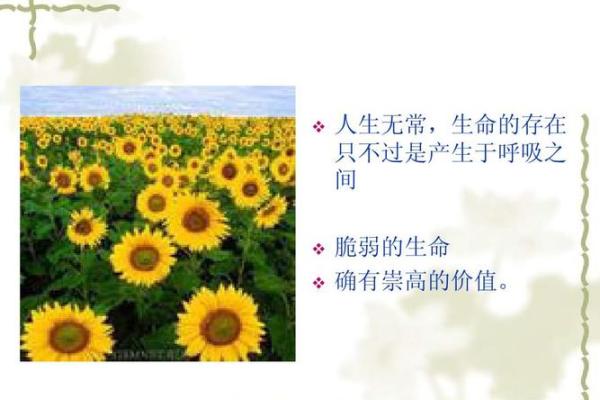 探索“命不久矣”的哲学:生命的脆弱与坚韧 探索“命不久矣”的哲学:生命的脆弱与坚韧