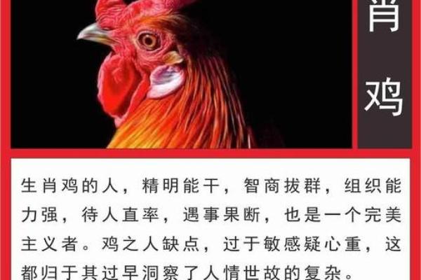 六九年属鸡五行命格解析:探究你的命运之钥 六九年属鸡五行命格解析:探究你的命运之钥