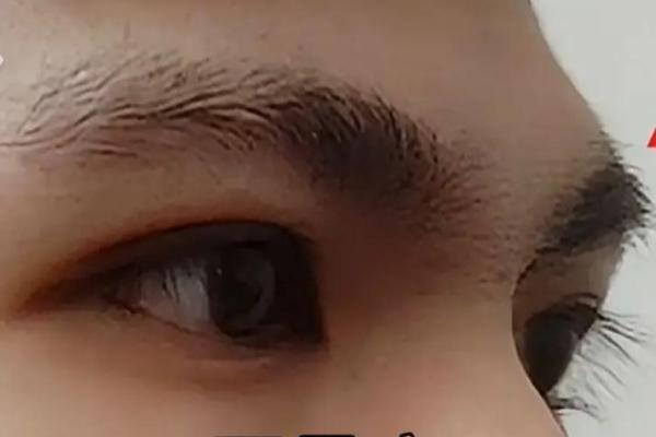 眉骨高说明什么?解读高眉骨与命运的关系 眉骨高说明什么?解读高眉骨与命运的关系