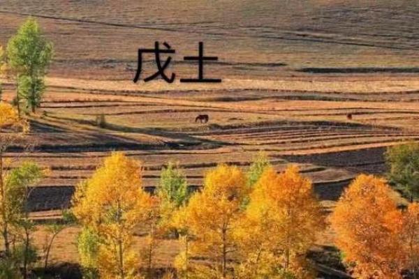 路旁土命的颜色与运势:寻找适合你的幸运色 路旁土命的颜色与运势:寻找适合你的幸运色