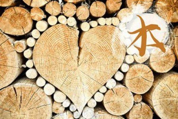 木命人与土命人:相辅相成,共创美好人生的搭档 木命人与土命人:相辅相成,共创美好人生的搭档