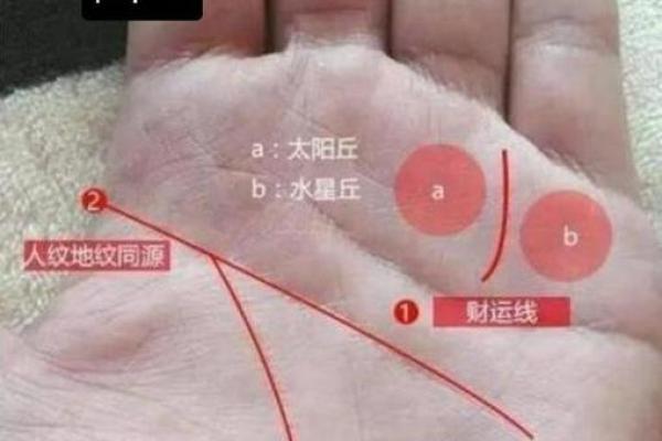 命运中的土命解析:了解你的命格与人生轨迹 命运中的土命解析:了解你的命格与人生轨迹