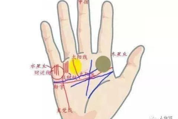 根据手相解读人生的星辰:何时能够迎接孩子的降临 根据手相解读人生的星辰:何时能够迎接孩子的降临