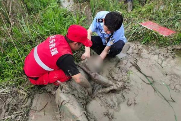 命悬一线:揭开生死一瞬间的底牌秘密 命悬一线:揭开生死一瞬间的底牌秘密