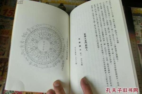 命格中最好的命——富贵荣华与长寿之道 命格中最好的命——富贵荣华与长寿之道