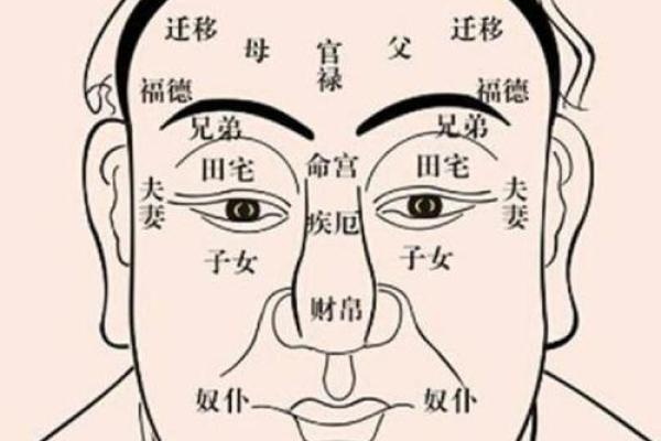 炉中火命的女人命中缺什么?从五行看她们的命运之路 炉中火命的女人命中缺什么?从五行看她们的命运之路