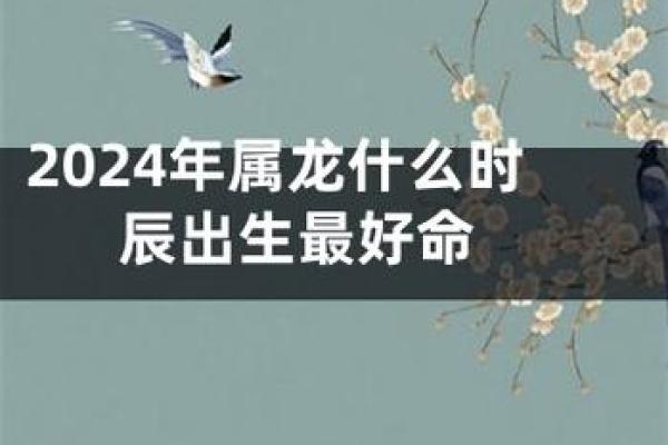 龙命理:探寻适合龙命之人的命理密码与人生方向 龙命理:探寻适合龙命之人的命理密码与人生方向