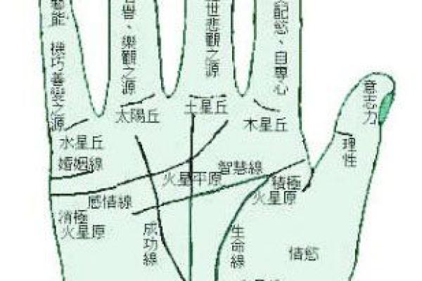 探秘路旁土命:解读男性命理中的特殊象征 探秘路旁土命:解读男性命理中的特殊象征