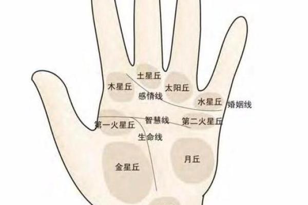女生手相四条线的秘密:解读命运与性格的奥秘 女生手相四条线的秘密:解读命运与性格的奥秘
