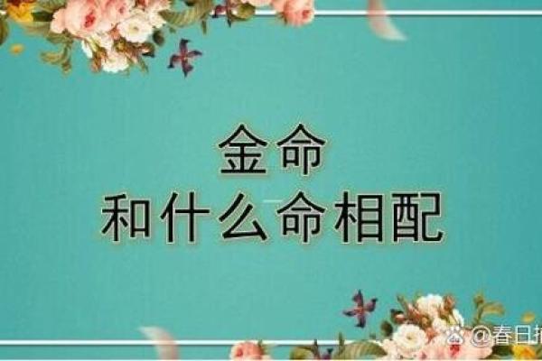 男水命与哪种命相配结婚最佳,探寻完美伴侣之道 男水命与哪种命相配结婚最佳,探寻完美伴侣之道
