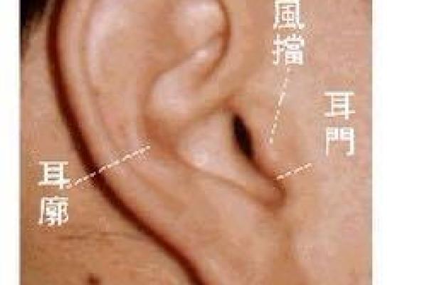 探寻命卦:解读命运背后的奥秘与启示 探寻命卦:解读命运背后的奥秘与启示