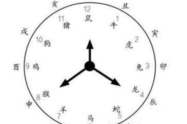 农历11月酉时出生的人生命解析:神秘星辰背后的命运之旅 农历11月酉时出生的人生命解析:神秘星辰背后的命运之旅