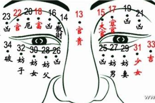 男下颚有痣,命运如何?深入解析痣相对人生的影响! 男下颚有痣,命运如何?深入解析痣相对人生的影响!