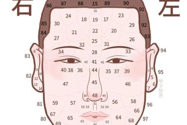男下颚有痣,命运如何?深入解析痣相对人生的影响! 男下颚有痣,命运如何?深入解析痣相对人生的影响!