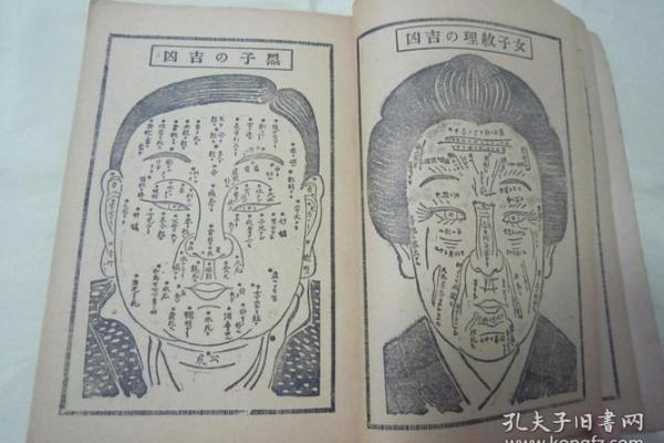 探索命理的奥秘:木火金水的命运之旅 探索命理的奥秘:木火金水的命运之旅