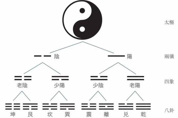 探索命理的奥秘:木火金水的命运之旅 探索命理的奥秘:木火金水的命运之旅