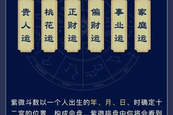 农历十月十八出生的女性:命格解析与人生智慧 农历十月十八出生的女性:命格解析与人生智慧