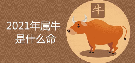 牛年出生的人命运影响及其优劣势分析 牛年出生的人命运影响及其优劣势分析