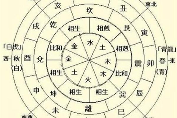 龙命理解析:如何选择适合女性的命理方向与风水建议 龙命理解析:如何选择适合女性的命理方向与风水建议