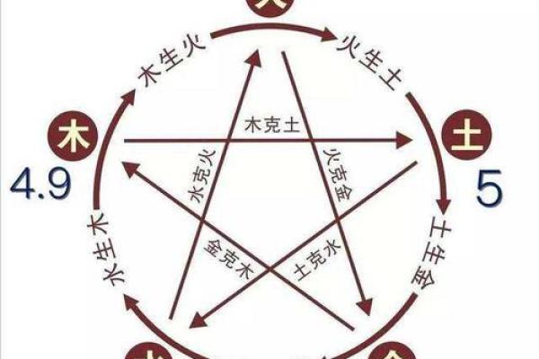龙命理解析:如何选择适合女性的命理方向与风水建议 龙命理解析:如何选择适合女性的命理方向与风水建议
