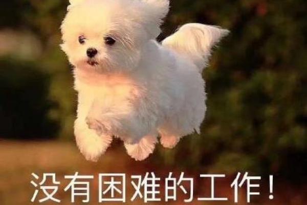 探索没有打工生活的自由与意义:追寻内心的真正需求 探索没有打工生活的自由与意义:追寻内心的真正需求
