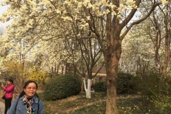 两人相依的温暖之旅——探讨经典韩剧《一生一世》 两人相依的温暖之旅——探讨经典韩剧《一生一世》