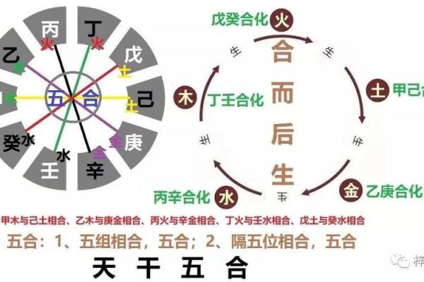 六神五行分析:探索六神命理背后的秘密与奥秘 六神五行分析:探索六神命理背后的秘密与奥秘
