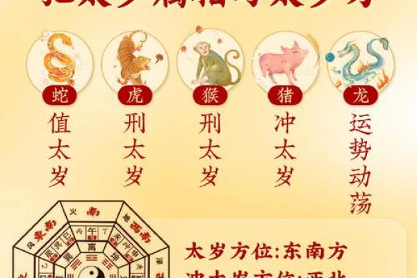 探索命理之道:解析每一年份的命与运势 探索命理之道:解析每一年份的命与运势