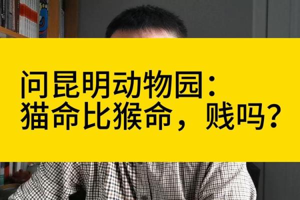 命最好的一种动物,你知道是什么吗? 命最好的一种动物,你知道是什么吗?