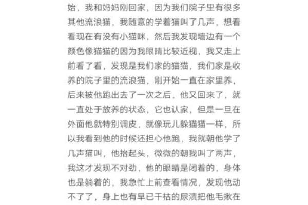 探索《九条命里的猫》:揭秘猫一般不为人知的秘密与魅力 探索《九条命里的猫》:揭秘猫一般不为人知的秘密与魅力