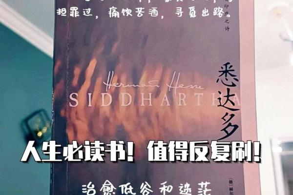 没了命还能干什么?人生的意义与追寻 没了命还能干什么?人生的意义与追寻