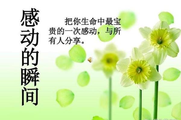 命的意义:探索生命中的每一个奇迹和挑战 命的意义:探索生命中的每一个奇迹和挑战