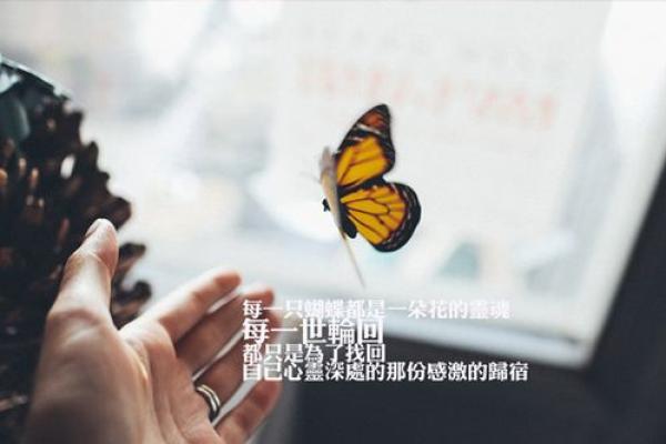 命格中的“带着装”是什么意思?揭示心灵深处的奥秘! 命格中的“带着装”是什么意思?揭示心灵深处的奥秘!