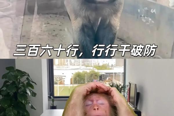 牛马命格的深意与人生启示:探寻个性与命运的交织 牛马命格的深意与人生启示:探寻个性与命运的交织