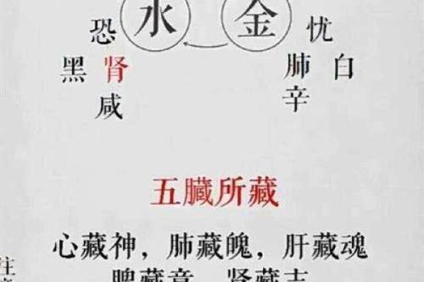 免费测自己是什么命,揭秘五行五种命运的奥秘与应用 免费测自己是什么命,揭秘五行五种命运的奥秘与应用